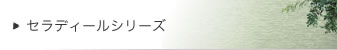 ZfB[V[Y